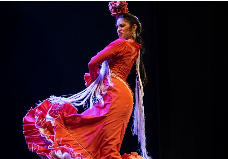Imagen principal del artículo Diccionario de flamenco: algunos términos propios