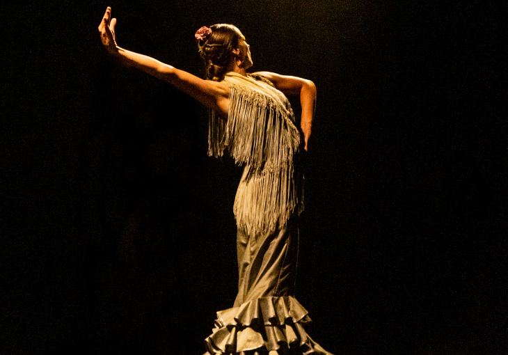 Imagen principal del artículo El arte del vestuario flamenco en Málaga: Una danza entre tradición y modernidad