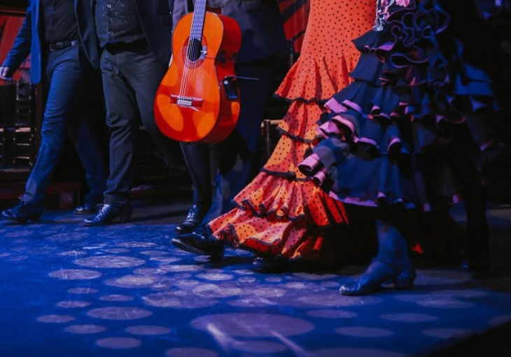 Imagen principal del artículo El polo flamenco: historia, carácter y relación con la caña
