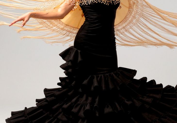 Imagen principal del artículo Los diferentes estilos de baile flamenco según la región