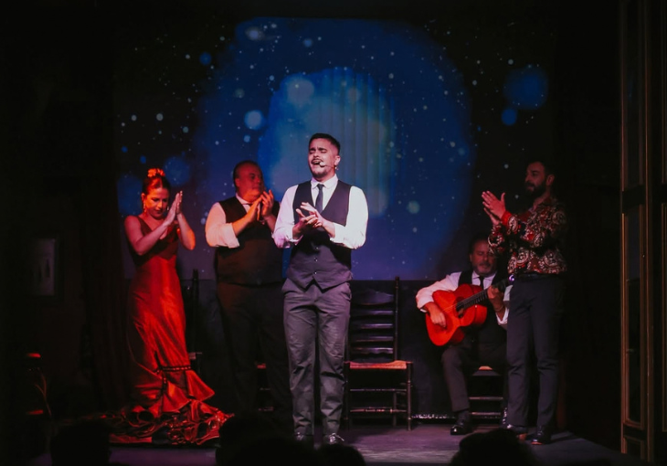 Imagen principal del artículo ¿Por qué cada espectáculo flamenco en Málaga es una experiencia diferente?