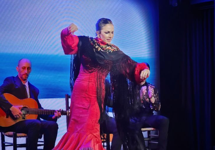 Imagen principal del artículo Regala un espectáculo flamenco en Málaga por el Día del Padre
